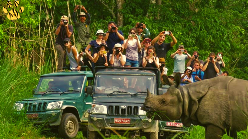Safari jeep of visitors photographing a one-horned rhino in Chitwan National Park, Nepal